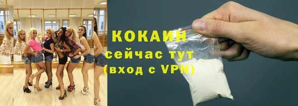 спиды Бородино