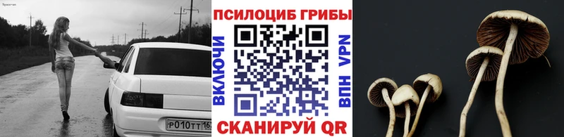 Псилоцибиновые грибы MAGIC MUSHROOMS  Шелехов 