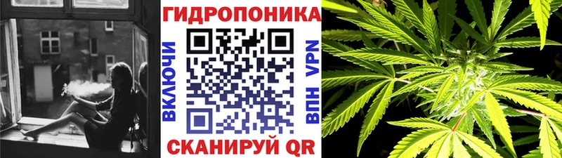 Шишки марихуана семена hydra как зайти Шелехов